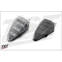 TST Industries Integrated Taillight for Yamaha YZF-R6 (2008-2016) TST Industries Integrated Taillight for Yamaha YZF-R6 (2008-2016)
